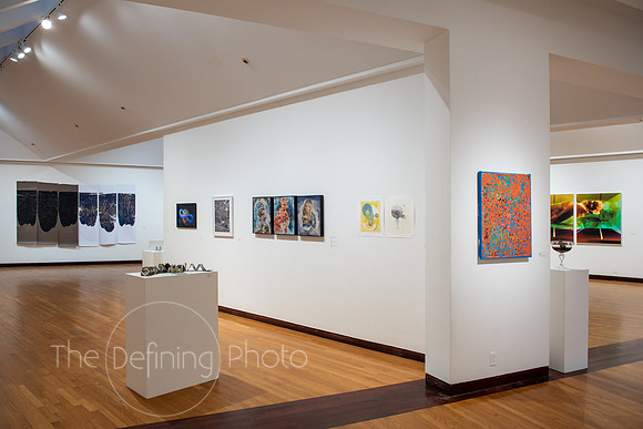 HAS_Faculty_Exhibition_082