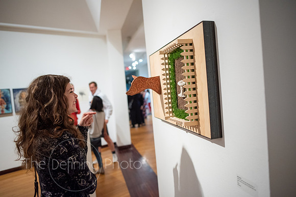 HAS_Faculty_Exhibition_169