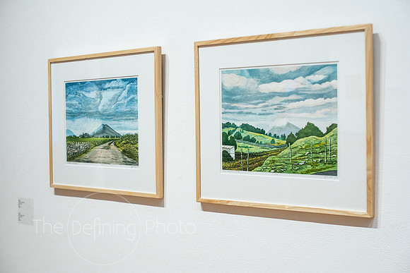 HAS_Faculty_Exhibition_092