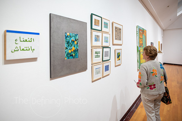 HAS_Faculty_Exhibition_143