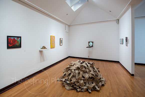 HAS_Faculty_Exhibition_068