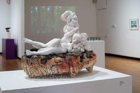 HAS_Faculty_Exhibition_107