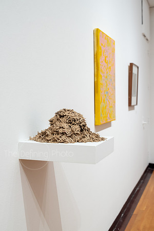 HAS_Faculty_Exhibition_116