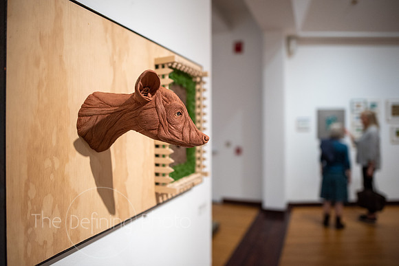 HAS_Faculty_Exhibition_183