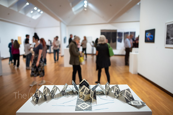 HAS_Faculty_Exhibition_164