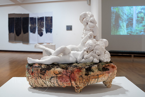 HAS_Faculty_Exhibition_119