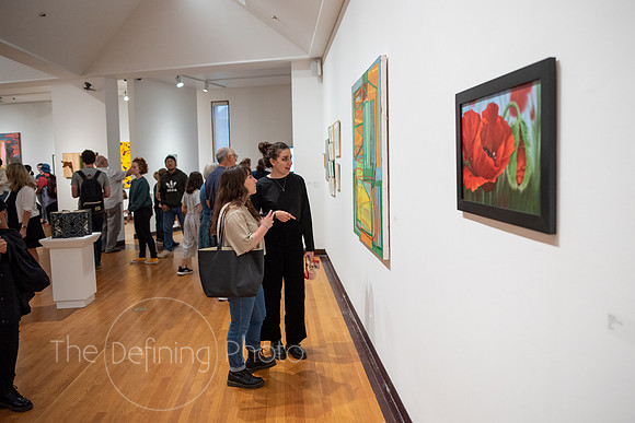 HAS_Faculty_Exhibition_147