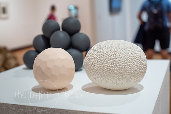 HAS_Faculty_Exhibition_095
