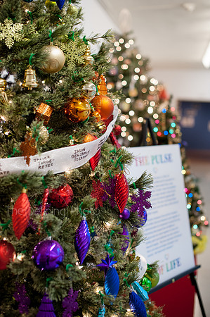 Festival_Of_Trees_119