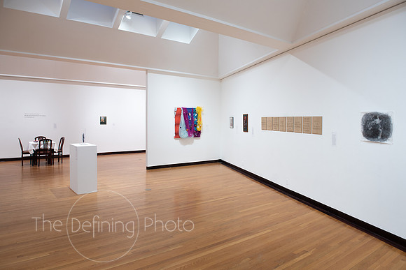 Goldfarb_Gallery-56