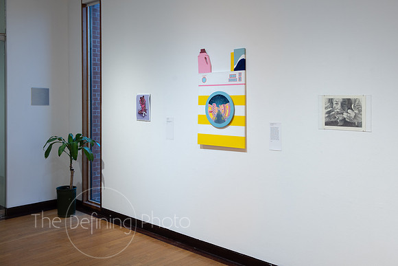 Goldfarb_Gallery-82