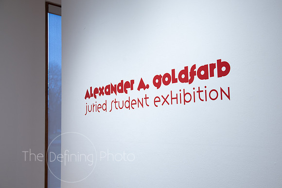 Goldfarb_Gallery-80