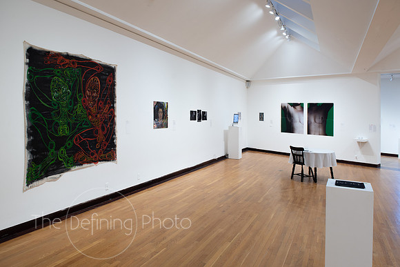 Goldfarb_Gallery-55
