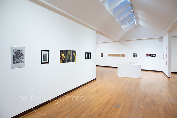Goldfarb_Gallery-42