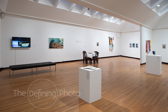 Goldfarb_Gallery-76
