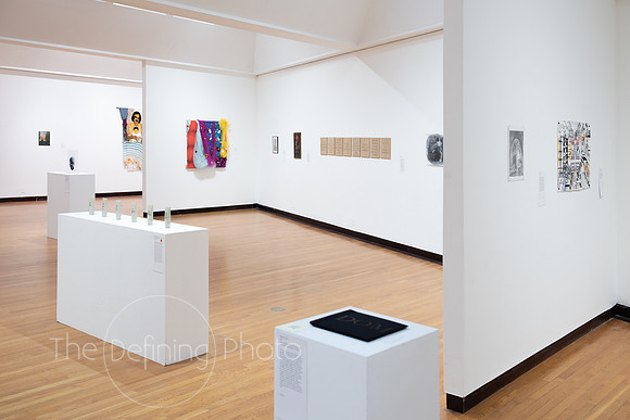 Goldfarb_Gallery-50