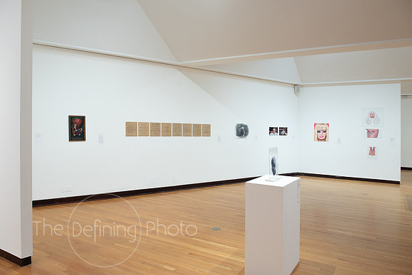 Goldfarb_Gallery-67