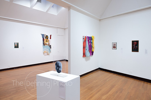 Goldfarb_Gallery-59