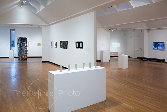 Goldfarb_Gallery-60