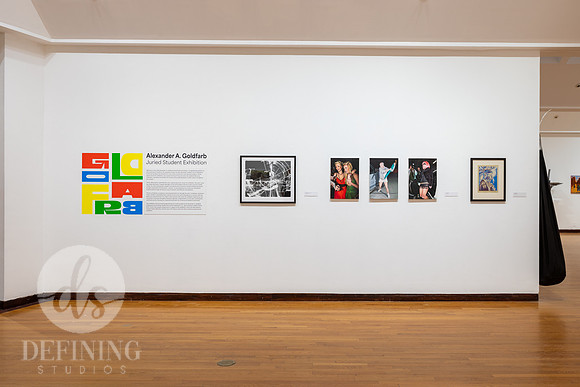 Goldfarb_Exhibition_2024_059