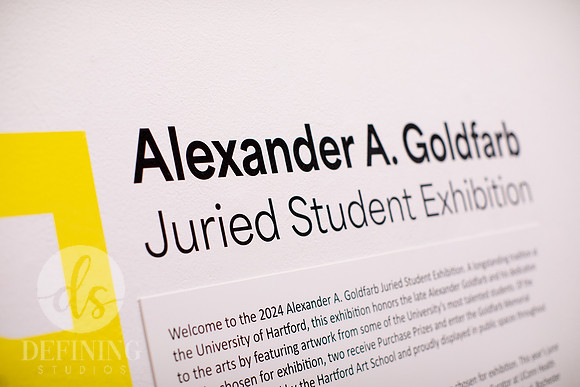 Goldfarb_Exhibition_2024_120