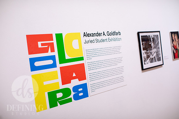 Goldfarb_Exhibition_2024_119