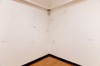 Goldfarb_Exhibition_2024_009