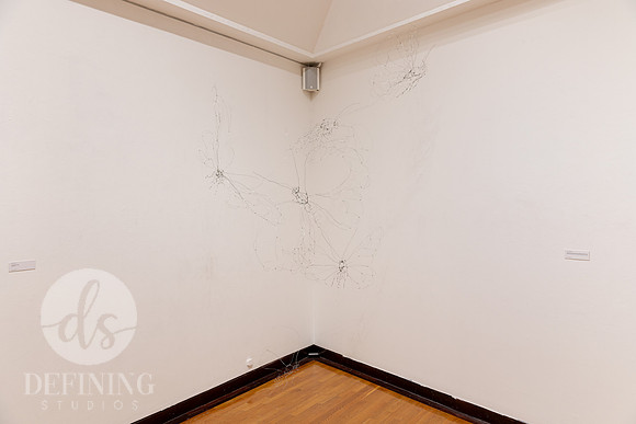 Goldfarb_Exhibition_2024_009