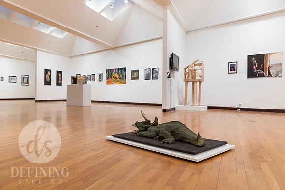 Goldfarb_Exhibition_2024_032