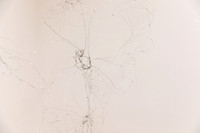 Goldfarb_Exhibition_2024_010