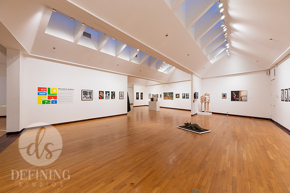 Goldfarb_Exhibition_2024_055
