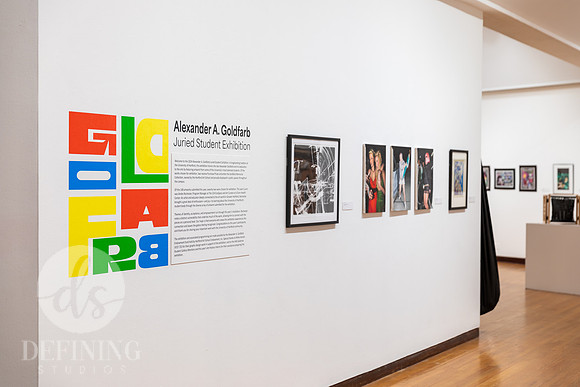 Goldfarb_Exhibition_2024_085