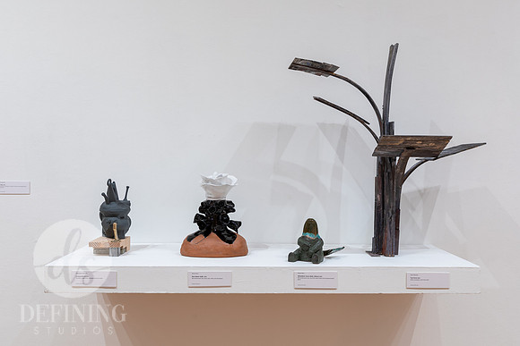 Goldfarb_Exhibition_2024_071
