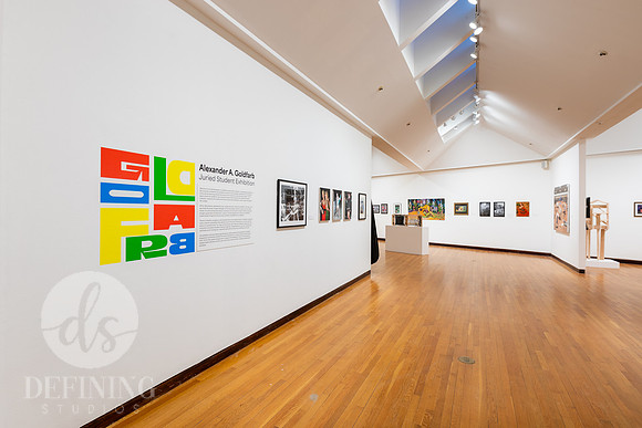 Goldfarb_Exhibition_2024_058
