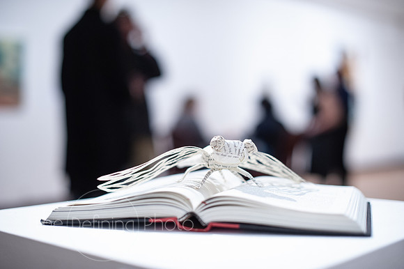Goldfarb_Reception-017