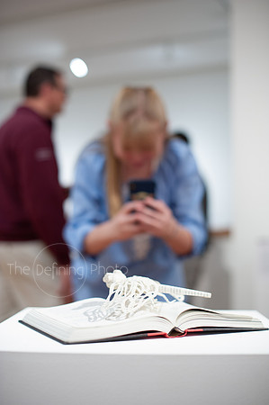 Goldfarb_Reception-076