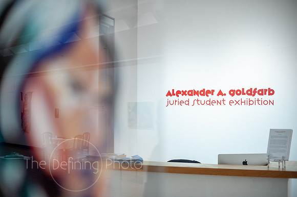 Goldfarb_Reception-124
