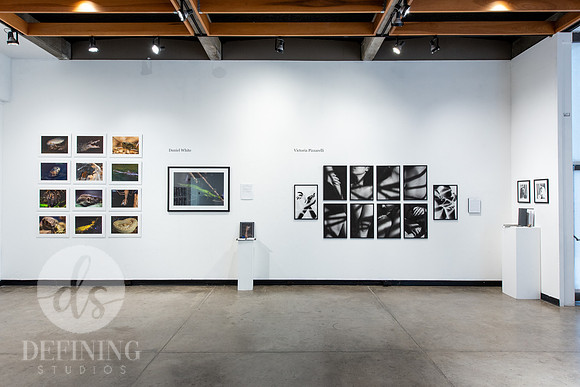 BFA_Thesis_Exhibition1_030