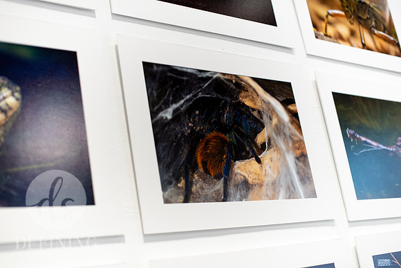 BFA_Thesis_Exhibition1_081