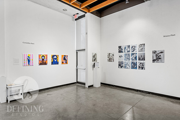 BFA_Thesis_Exhibition1_035
