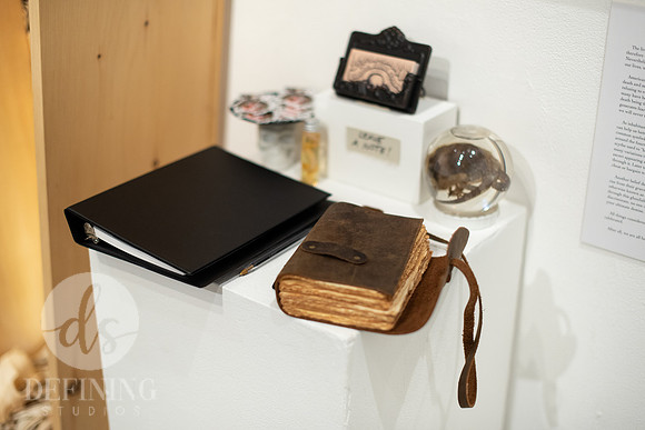 BFA_Thesis_Exhibition1_100