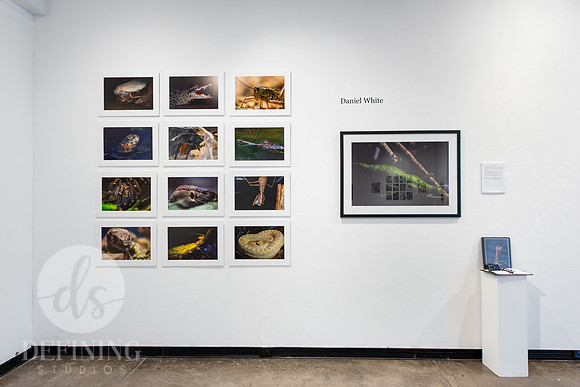 BFA_Thesis_Exhibition1_041