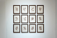 BFA_Thesis_Exhibition1_010