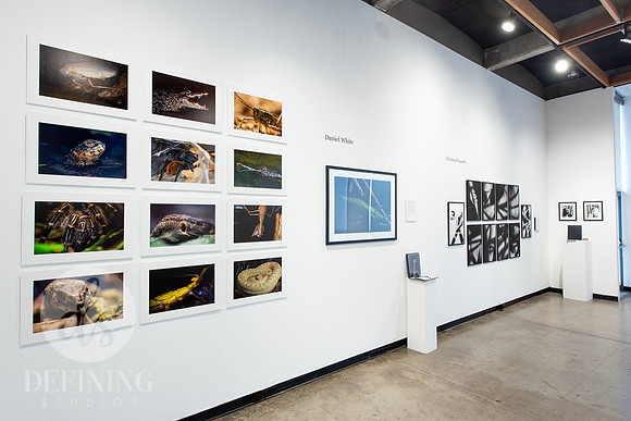 BFA_Thesis_Exhibition1_060