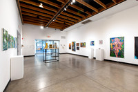 BFA_Thesis_2_011
