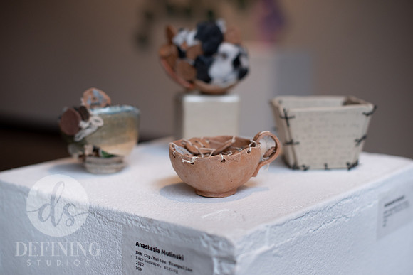 Senior-Thesis-2-Galleries-144