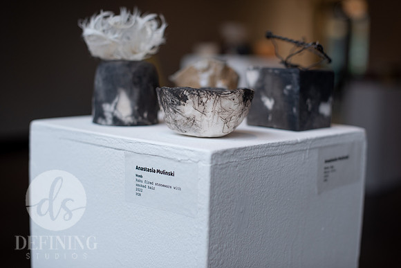 Senior-Thesis-2-Galleries-141