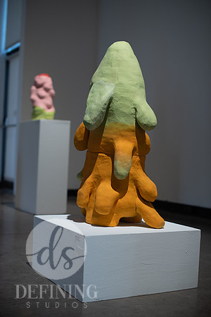 Senior-Thesis-2-Galleries-156