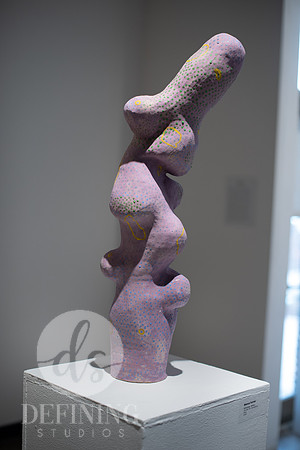 Senior-Thesis-2-Galleries-153