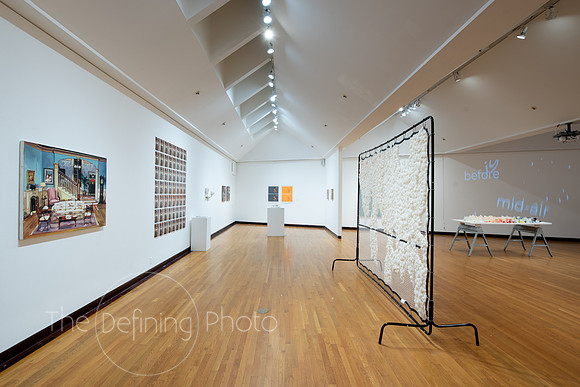 Faculty_Exhibition_Gallery_-044